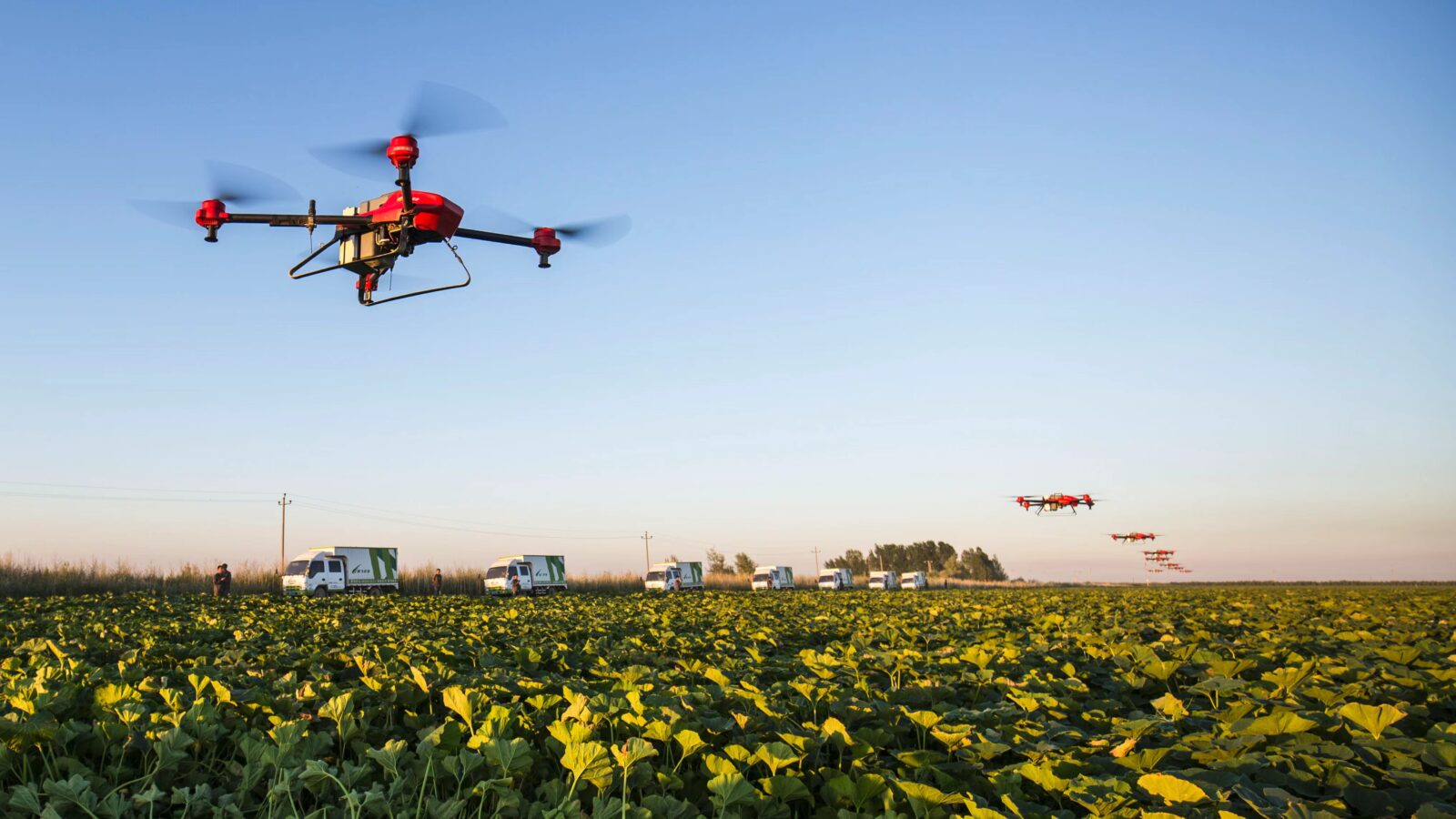 How drones for agriculture transform different areas of agribusiness