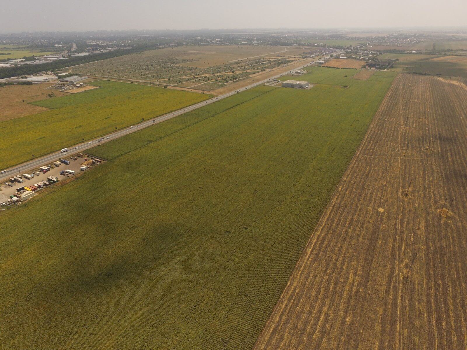 Моніторинг озимих культур, точне землеробство від Drone.UA