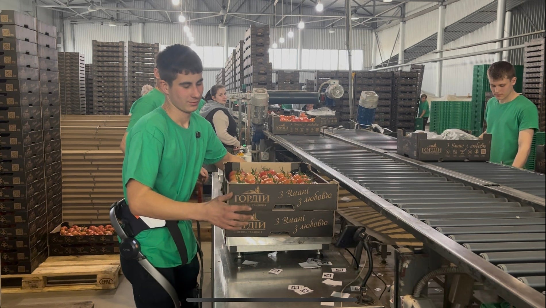 Екзоскелети Hypershell у тепличному господарстві: як технології знижують навантаження під час 10-годинної зміни