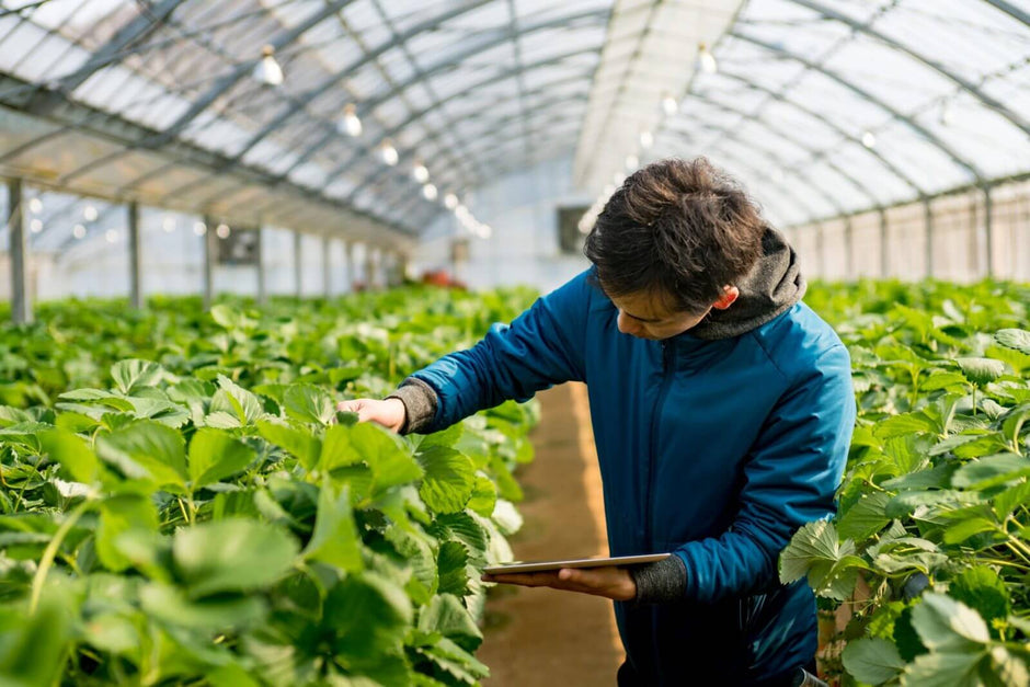 Об'єднання ринку AgTech, створення підкомітету з Agro IT СУП