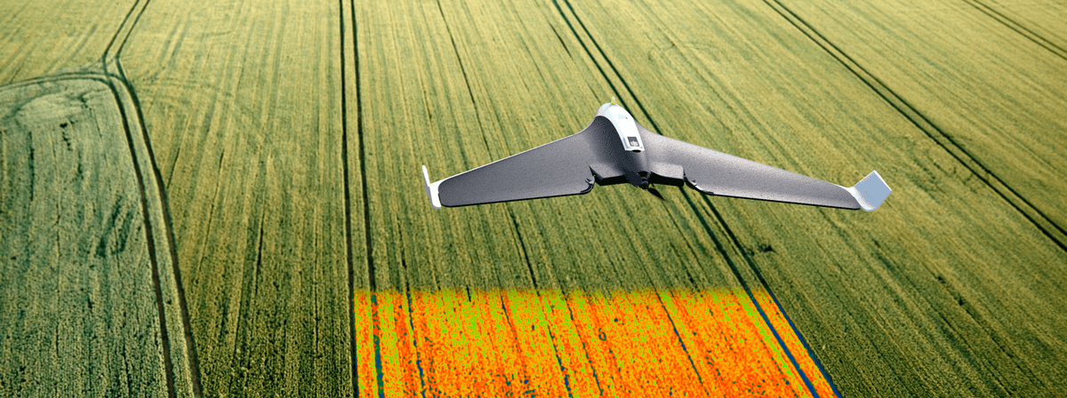 Visual and NDVI field maps
